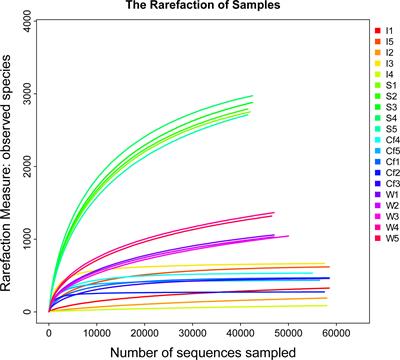 Insights into the bacterial community compositions of peanut worm (Sipunculus nudus) and their association with the surrounding environment